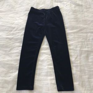Janie and Jack blue velvet leggings